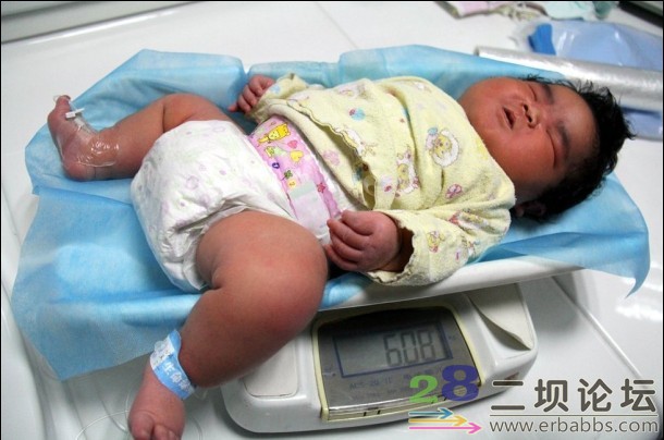 12���ر���